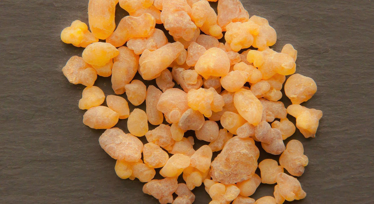 Boswellia for dogs, an ingredient present in Dr. Ferg's best joint supplement for dogs