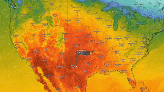 90° this week — 3 things every dog owner should know
