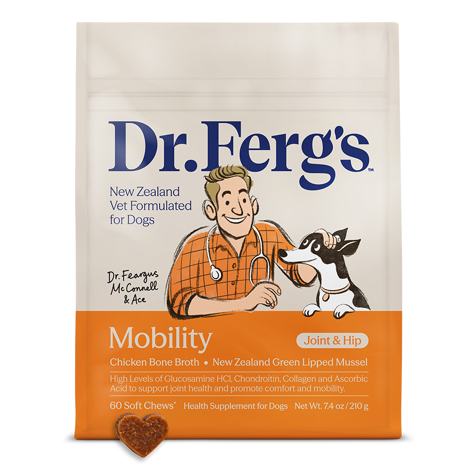 A bag of Dr. Ferg's Mobility Joint & Hip soft chews for American dogs, featuring a cream and orange package with an illustration of a veterinarian and a dog, and a heart-shaped chew displayed in front on a white background.