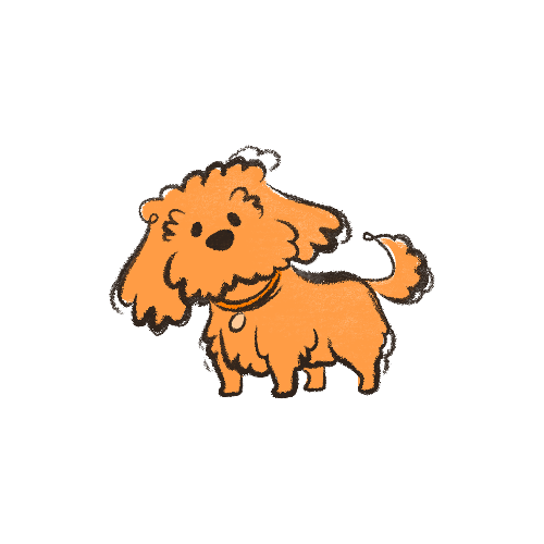 Start With the Dog