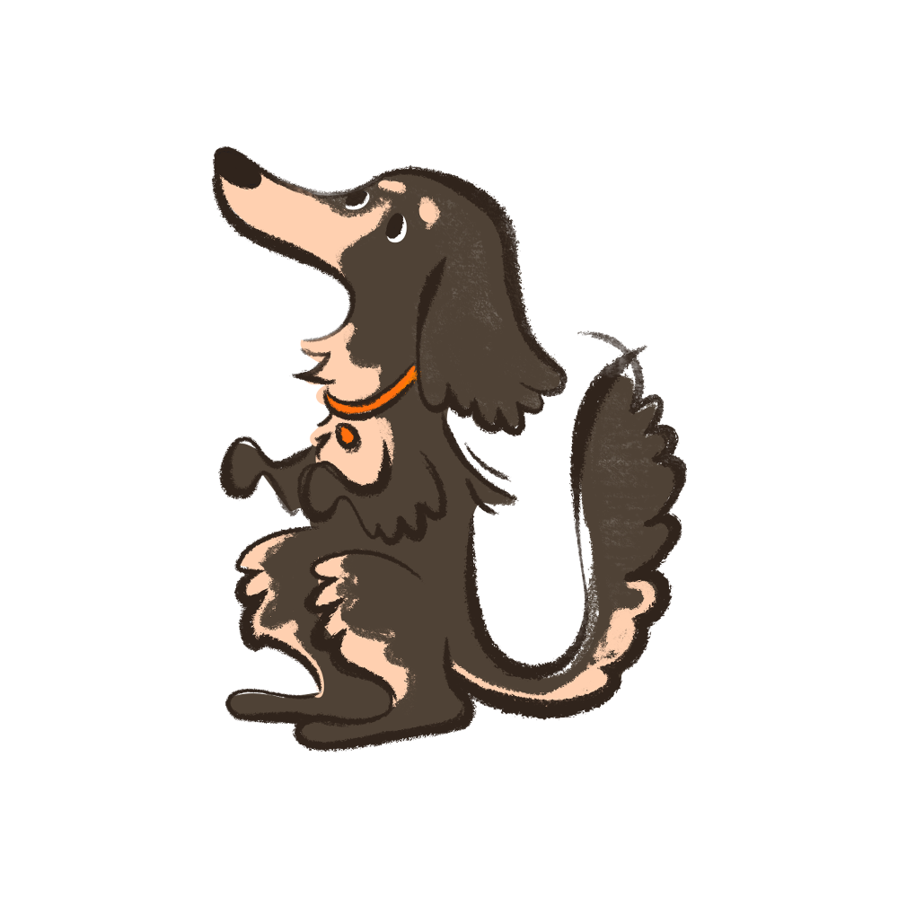 An illustration of a long-eared dark brown dog, Benji, sitting and looking upward, with a small orange collar, on a plain white background, representing Dr. Ferg's supplements and health products for dogs in the USA.