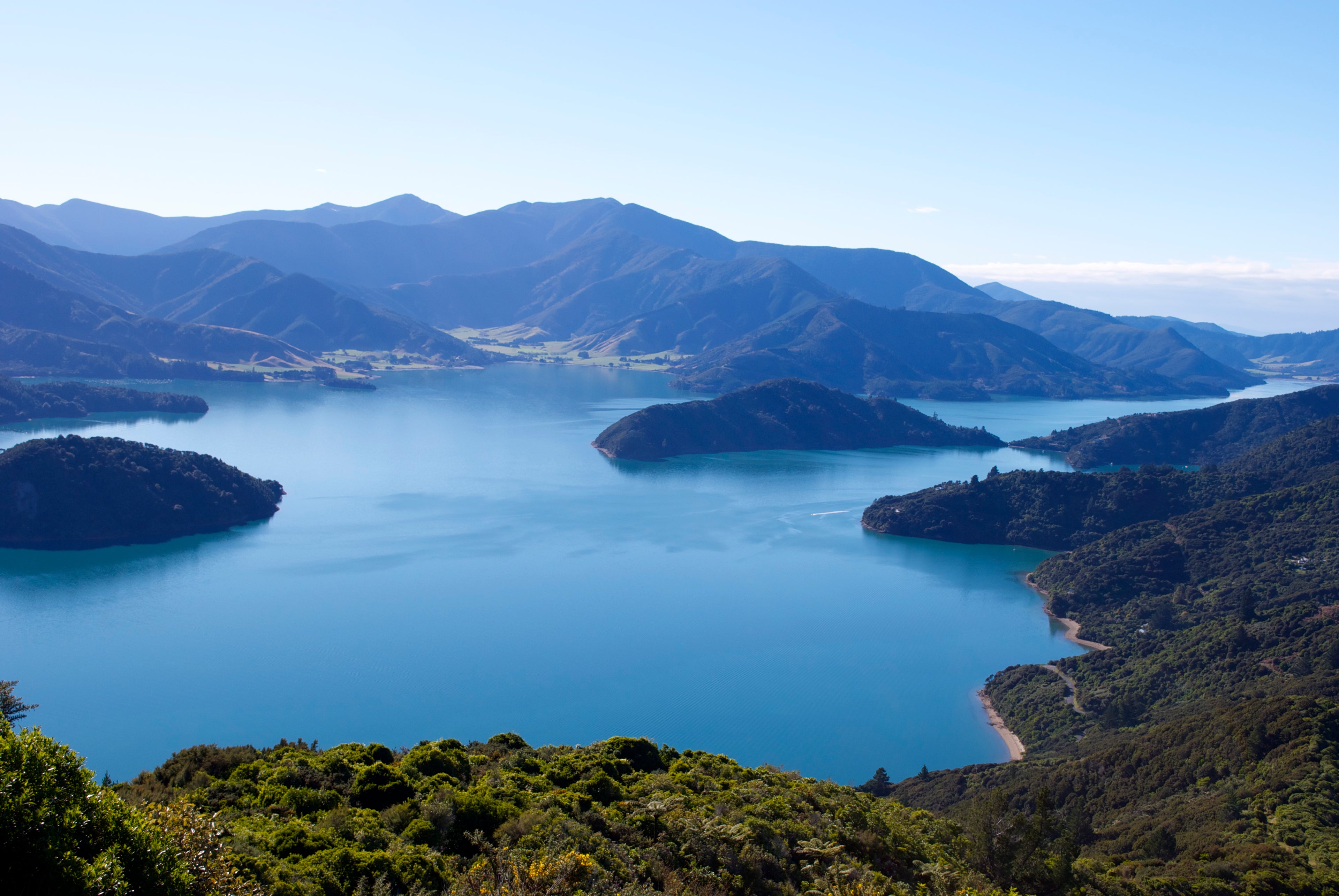 Scenic view of a lake surrounded by mountains and greenery is where our supplement ingredients come from