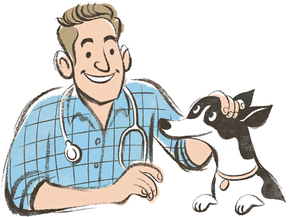 Illustrated scene of veterinarian Dr. Feargus McConnell in a blue plaid shirt with a stethoscope, petting his black-and-white dog, Ace, representing the trusted relationship behind Dr. Ferg's dog health education and supplements.