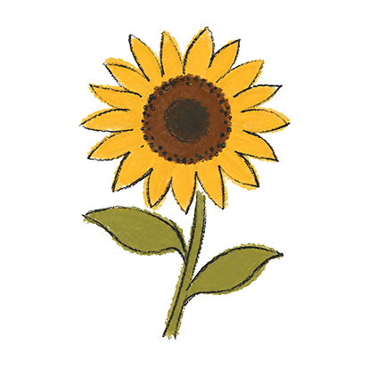 Sunflower Lecithin