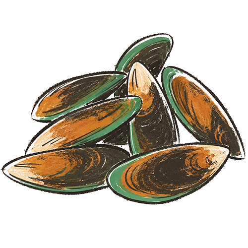Green-Lipped Mussel