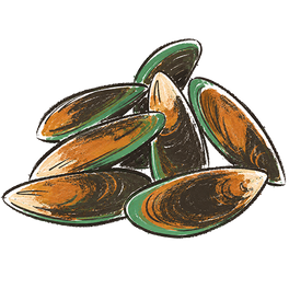 New Zealand Green-Lipped Mussel